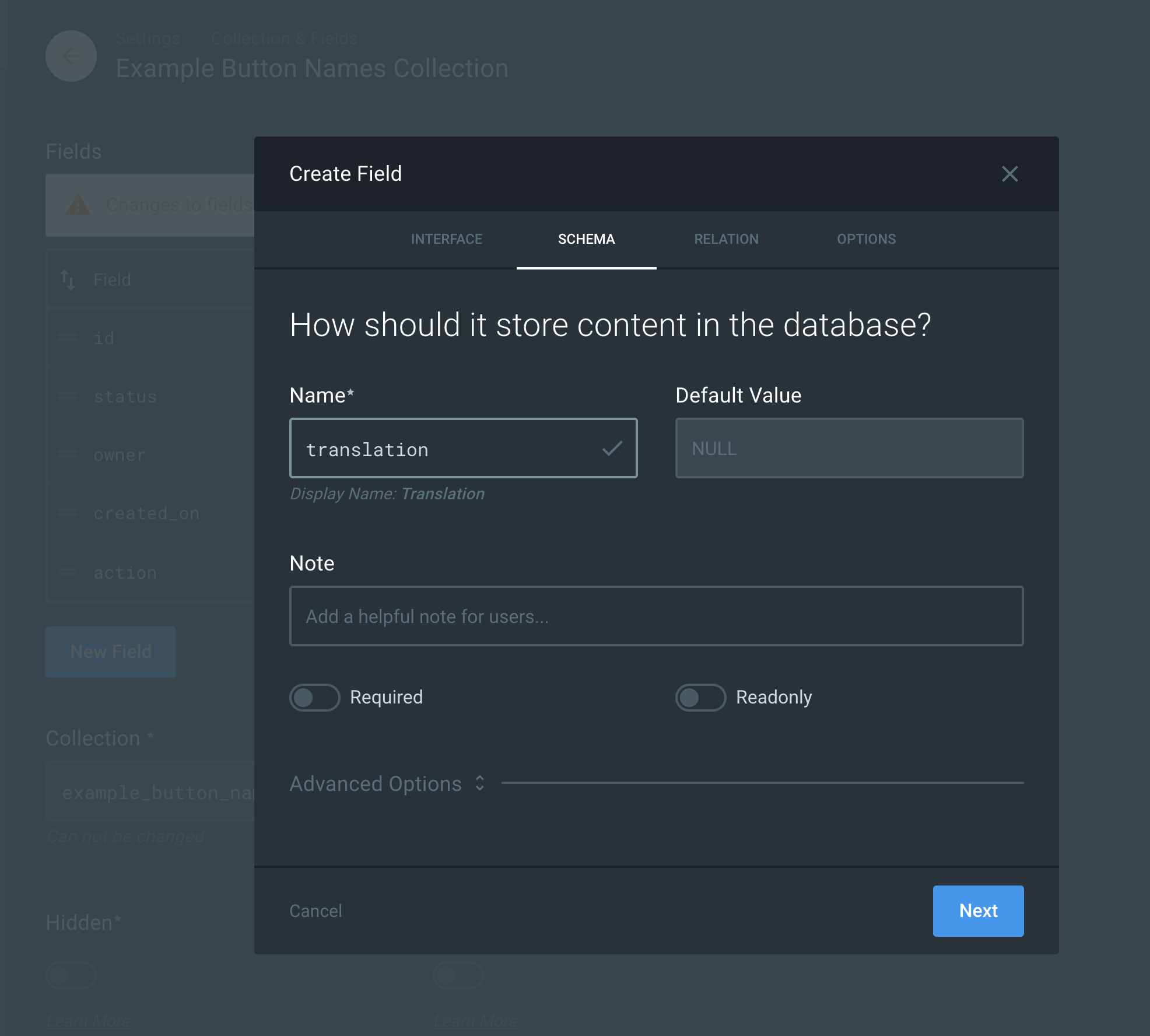 tCreate field form  schema tab screenshot